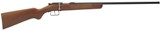 Carabine de loisirs