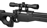 ASG - ACCURACY AW .308 SNIPER (PACK SPRING)